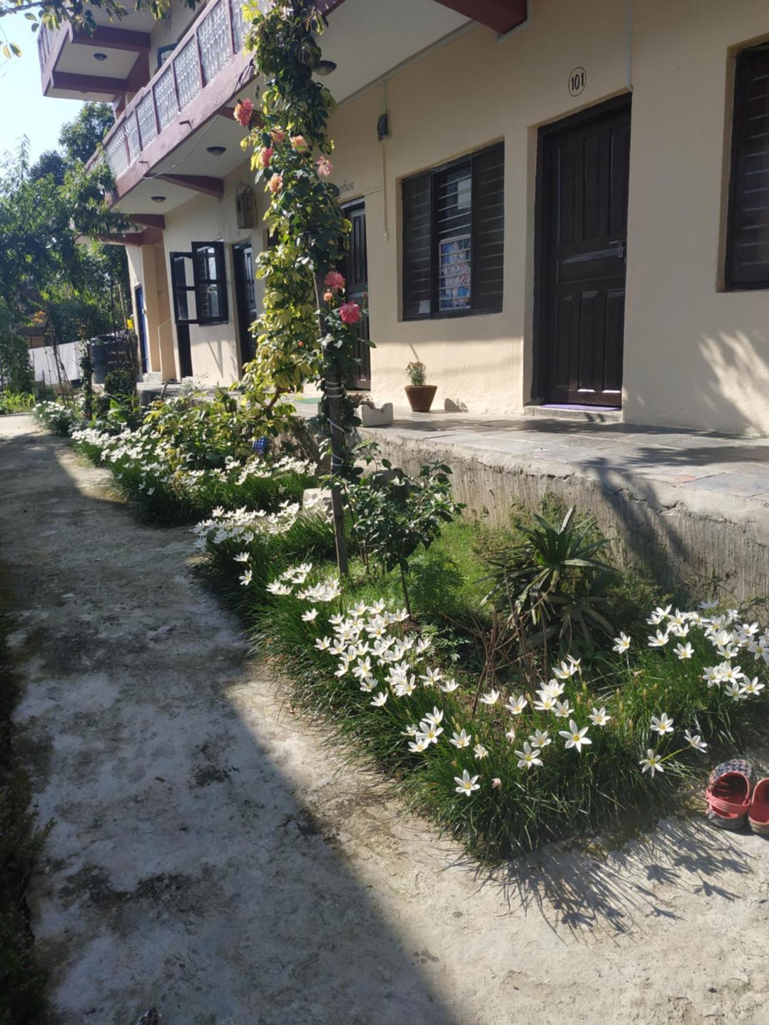 Peace Guest House Pokhara Exterior foto